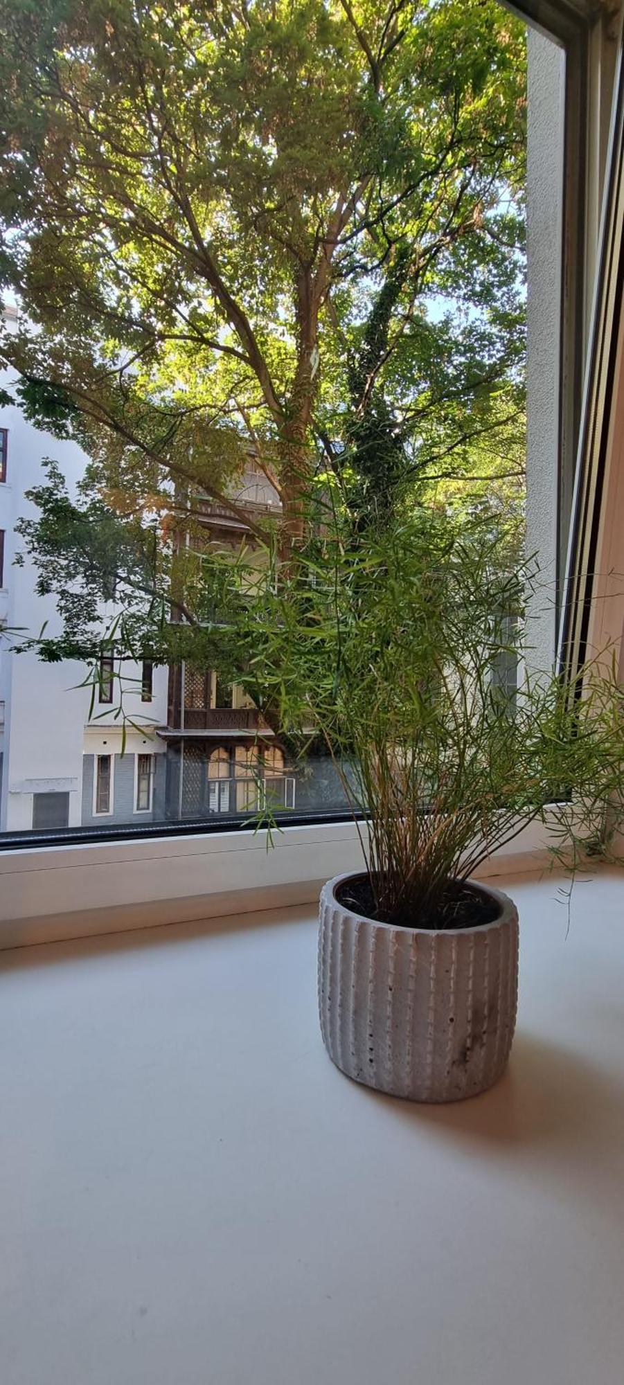 Vienna My City Apartment 1 Bedroom Ngoại thất bức ảnh